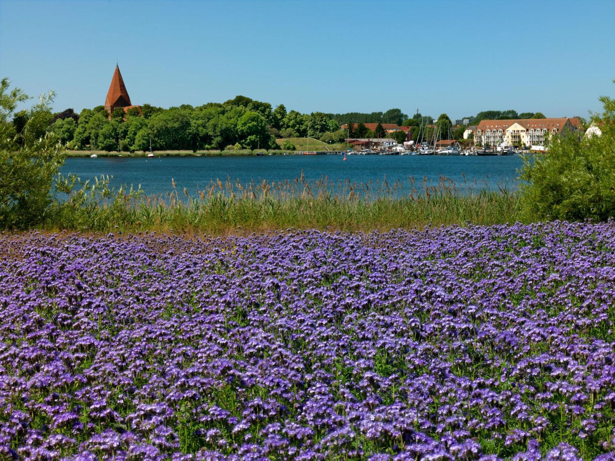 Daenisches Ferienhaus Kaltenhof Luaran gambar